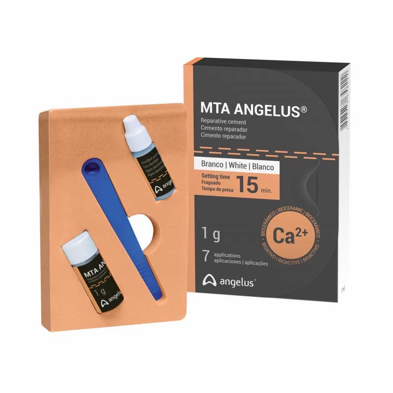 ANGELUS / MTA Angelus 1g